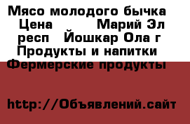 Мясо молодого бычка › Цена ­ 300 - Марий Эл респ., Йошкар-Ола г. Продукты и напитки » Фермерские продукты   